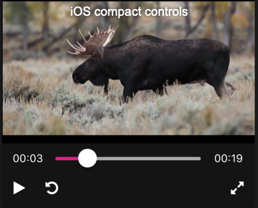 iOS compact controls