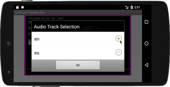 Multiple audio track selection menu