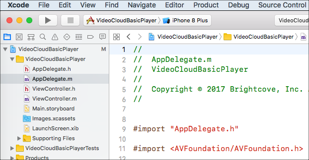 Project in Xcode